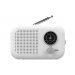 Bush FM Radio 7438